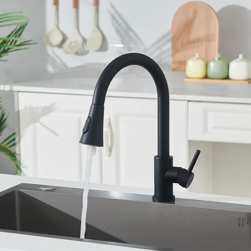 Black Pull-Out Kitchen Faucet